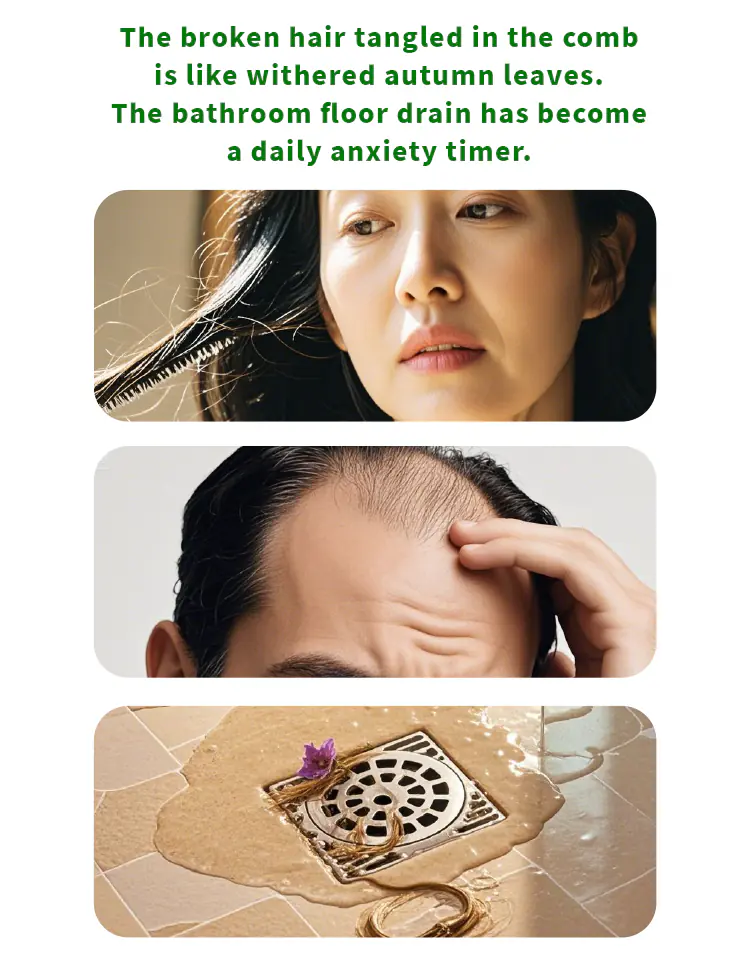 生姜生发液详情页_05